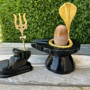 narmada shivling